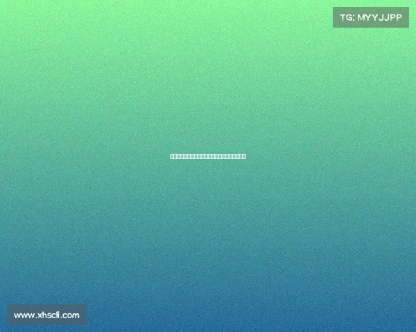 西甲夏季转会市场：各大豪门动态与新星加盟解析