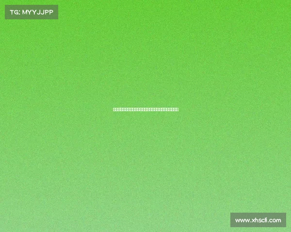 托特纳姆热刺如何在英超赛季中实现全面崛起并挑战顶级荣誉